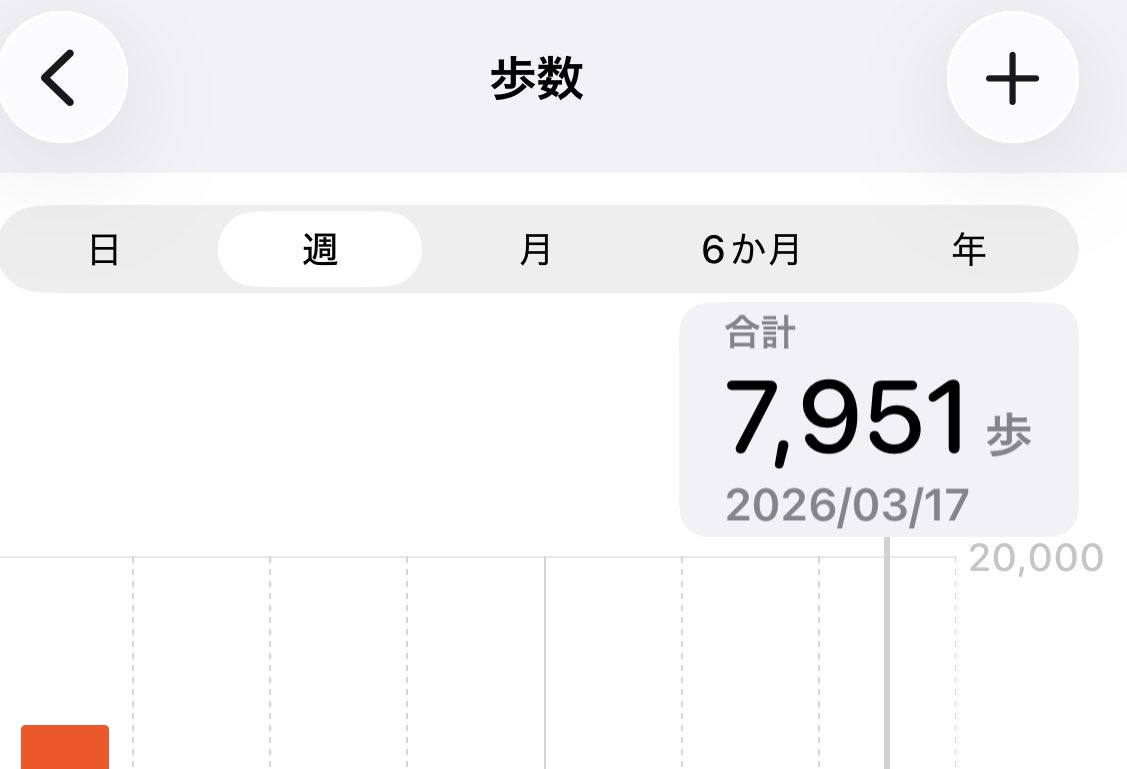 はる菜／ライター・コラムニスト@🇧🇷→🇦🇷→🇯🇵 tweet media