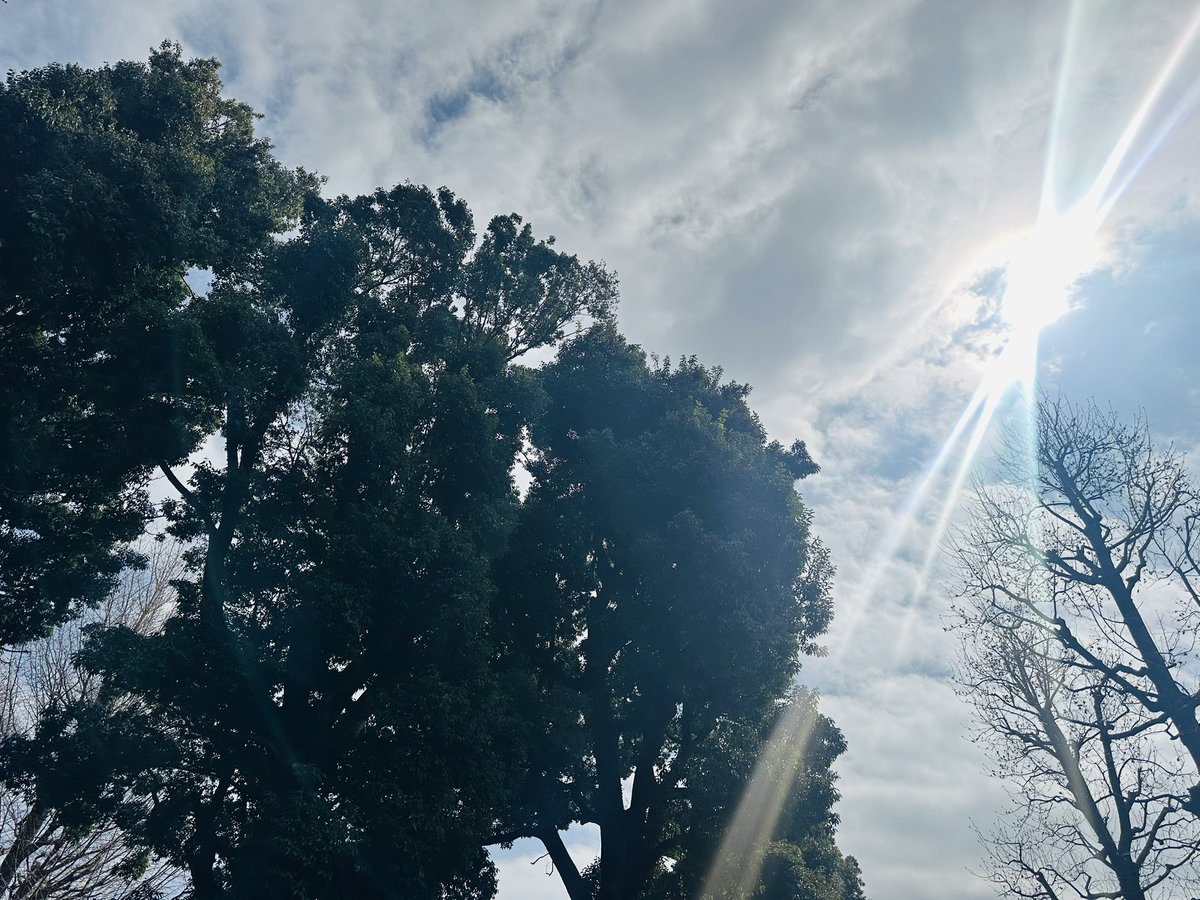 はる菜／ライター・コラムニスト@🇧🇷→🇦🇷→🇯🇵 tweet media