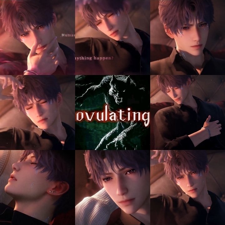 bibo🌹 tweet media