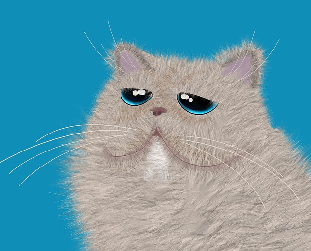 Josh Norred tweet media