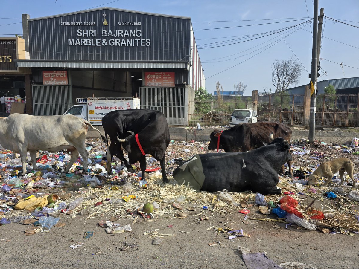 MANIJAIN9211's tweet photo. This is actual aside dadri main road https://t.co/4Ta1Z9MuH0