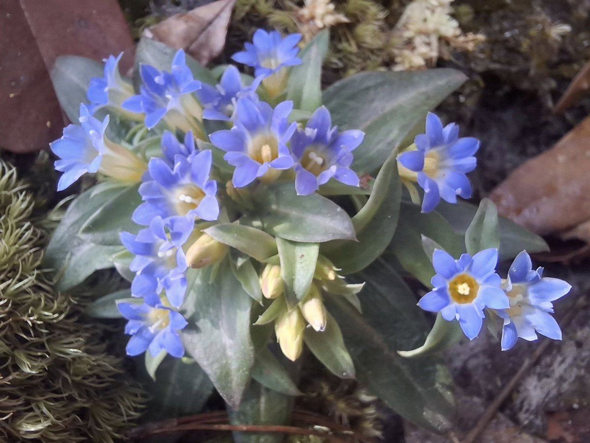 กรมอุทยานแห่งชาติ สัตว์ป่า และพันธุ์พืช tweet media