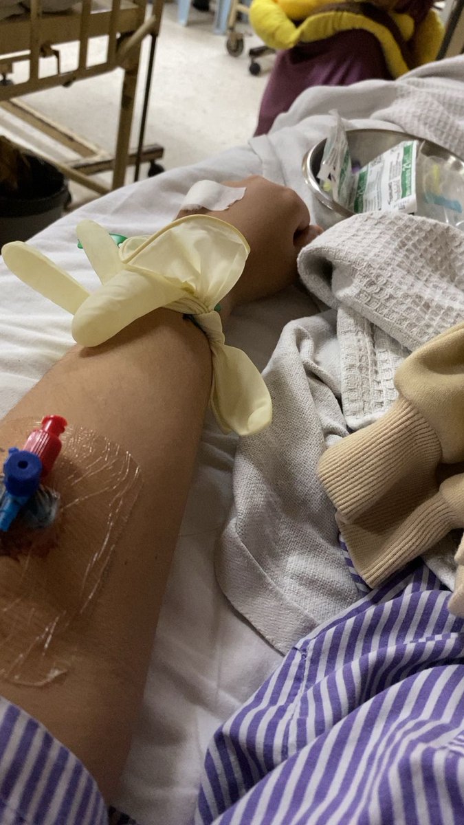 αιяα ꨄ tweet media