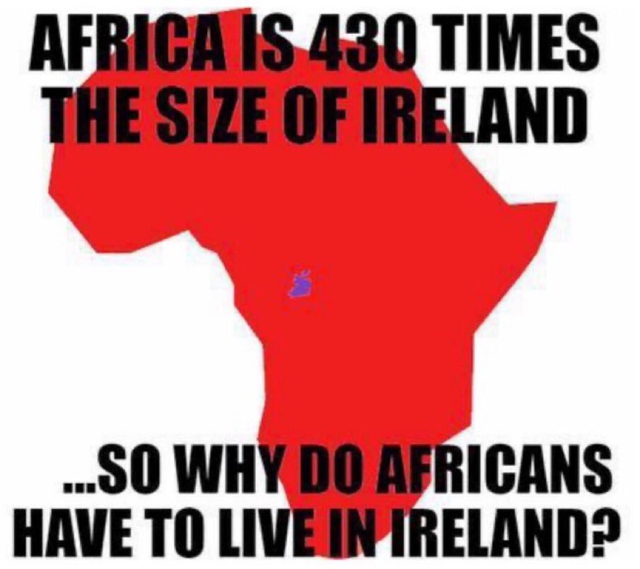 Indy Cat 2000 tweet media