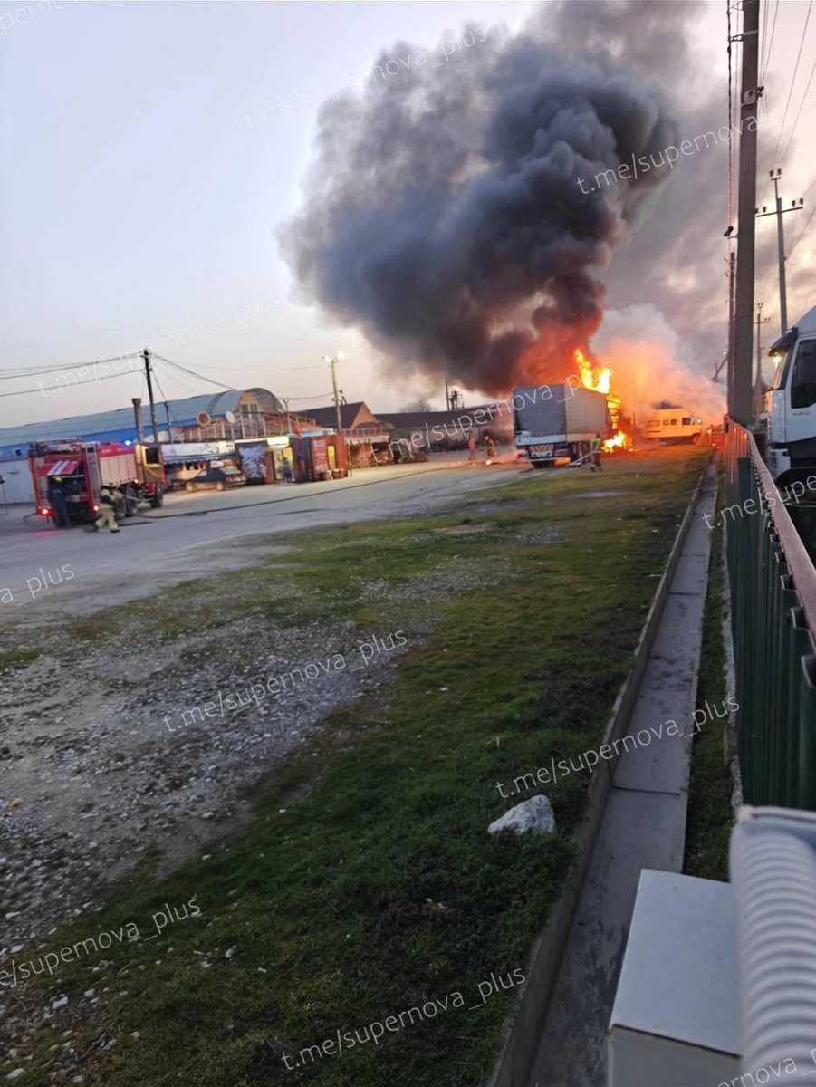 Malinda 🇺🇸🇺🇦🇵🇱🇨🇦🇮🇹🇦🇺🇬🇧🇬🇪🇩🇪🇸🇪 tweet media