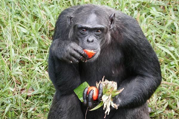 afrisitestours & Travel tweet media