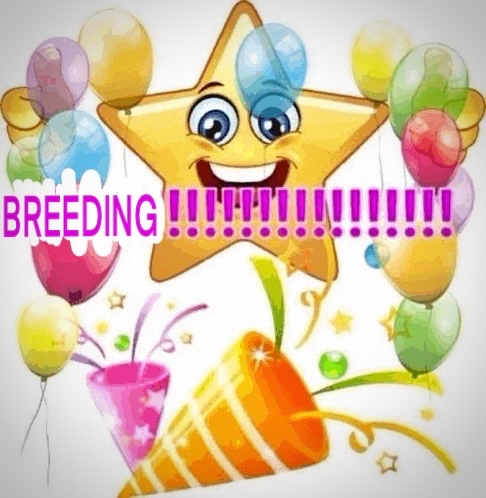 Fluxil 🔞 tweet media