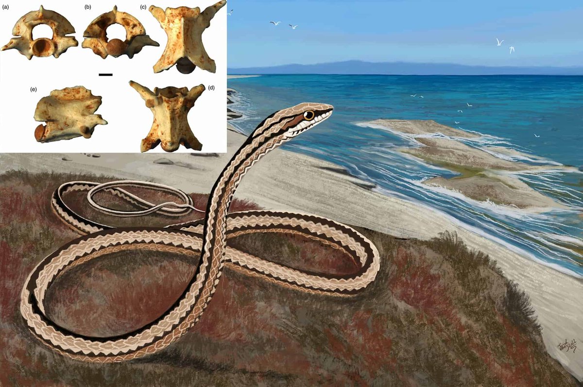 Greek City Times tweet media