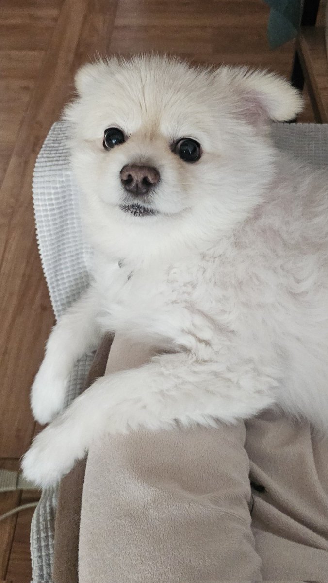 누나 얼굴에 방구 싸고 표정