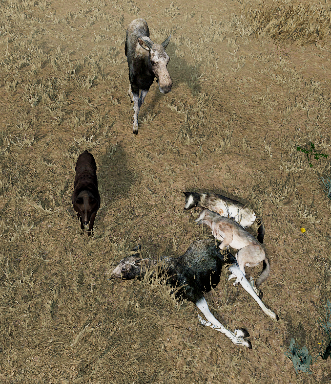 I FUCKING GUESS MAN. EYE FOR AN EYE