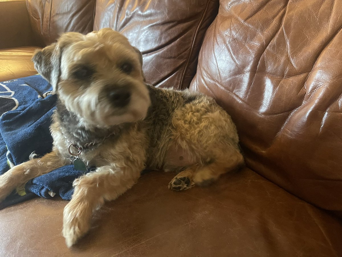 Mary Sodawasser tweet media