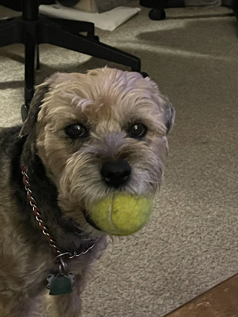 Mary Sodawasser tweet media