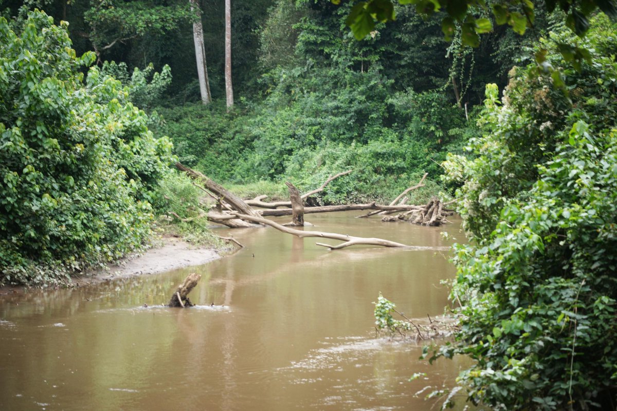 Murchison Falls National Park tweet media