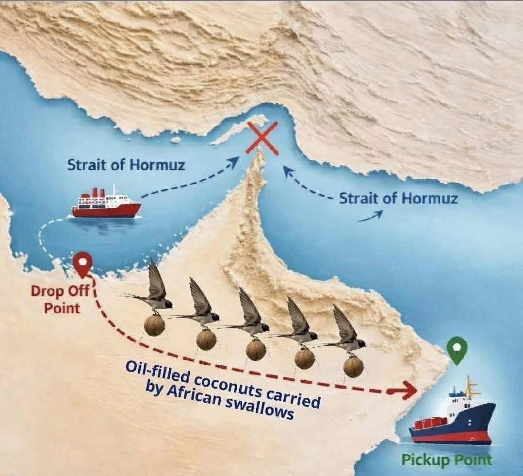 𝗧𝗼𝗺 𝗢𝘀𝗯𝗼𝗿𝗻 PhD, FRSA. tweet media