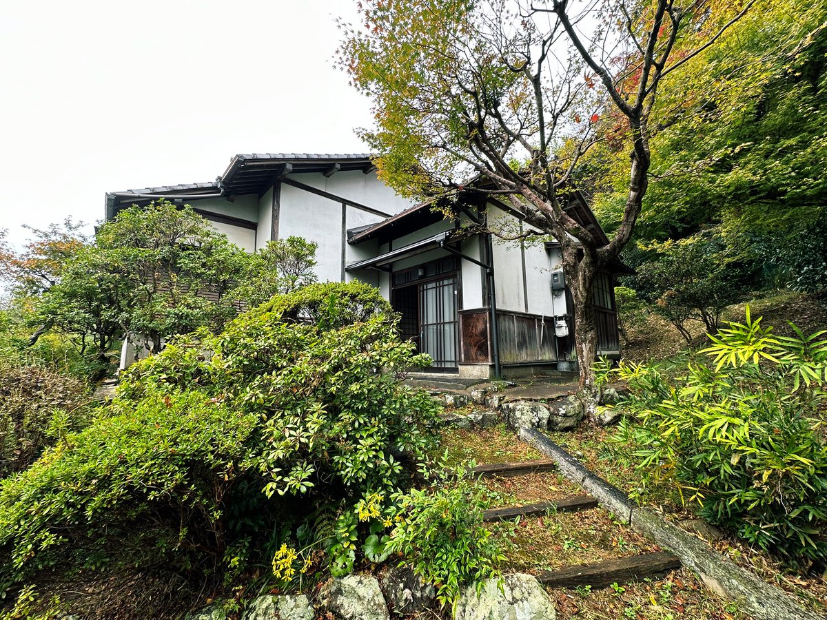 浅草不知秋~姚远 tweet media