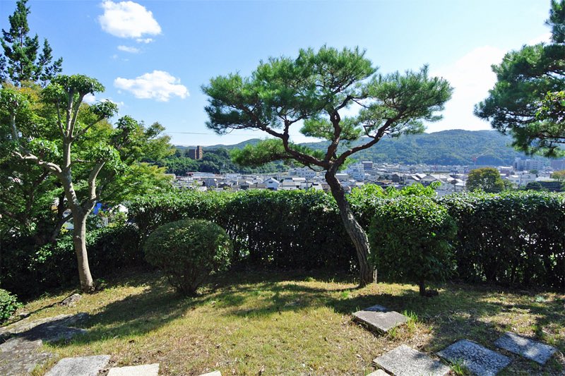 浅草不知秋~姚远 tweet media