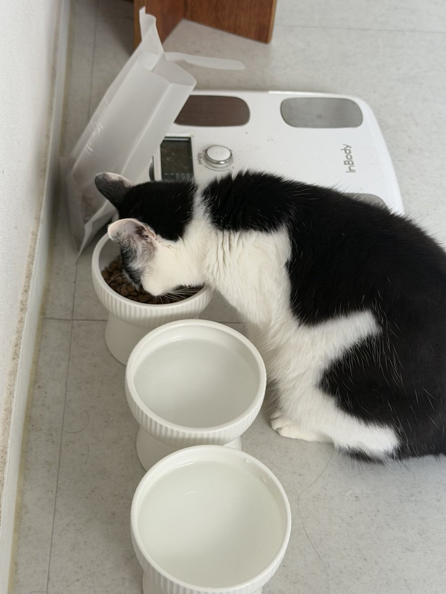 큰그릇 tweet media