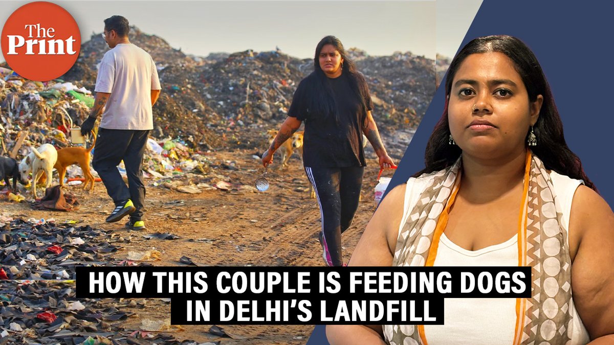 ThePrintIndia's tweet photo. Delhi couple feeds dogs on Ghazipur landfill. They have established a bond with the dogs, and been able to sterelise more than 100 dogs. Watch ThePrint report by Manisha Mondal @manishamondal25 

https://t.co/aELKt1ypev https://t.co/CMtDzlmw70