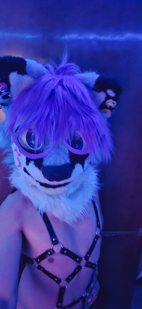 Free Fox Fuck🔞 🔜 Warning Yiff 2026♠️♥️♦️♣️ tweet media