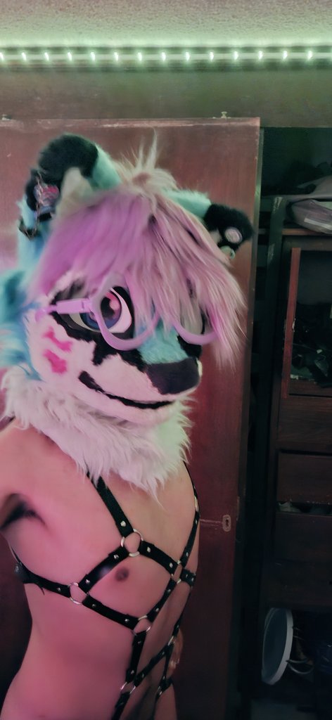 Free Fox Fuck🔞 🔜 Warning Yiff 2026♠️♥️♦️♣️ tweet media