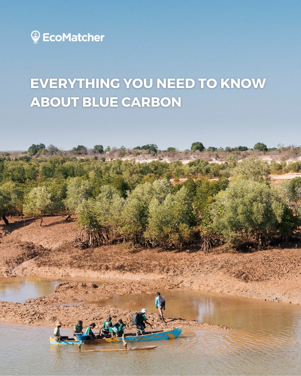 EcoMatcher tweet media