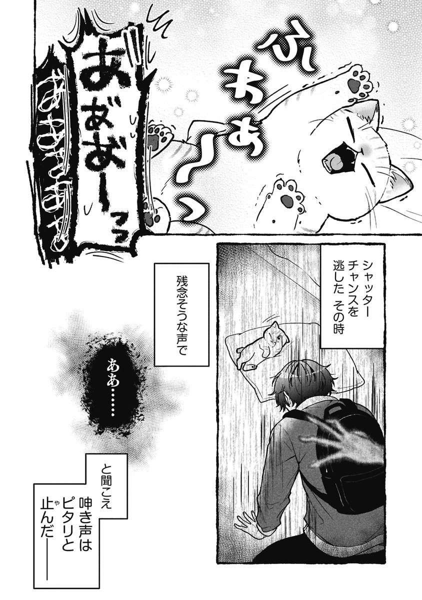 絶対にシャッターチャンスを逃したくない飼い主 VS そんなこと関係ない猫 VS 怪異
(2/2) 
