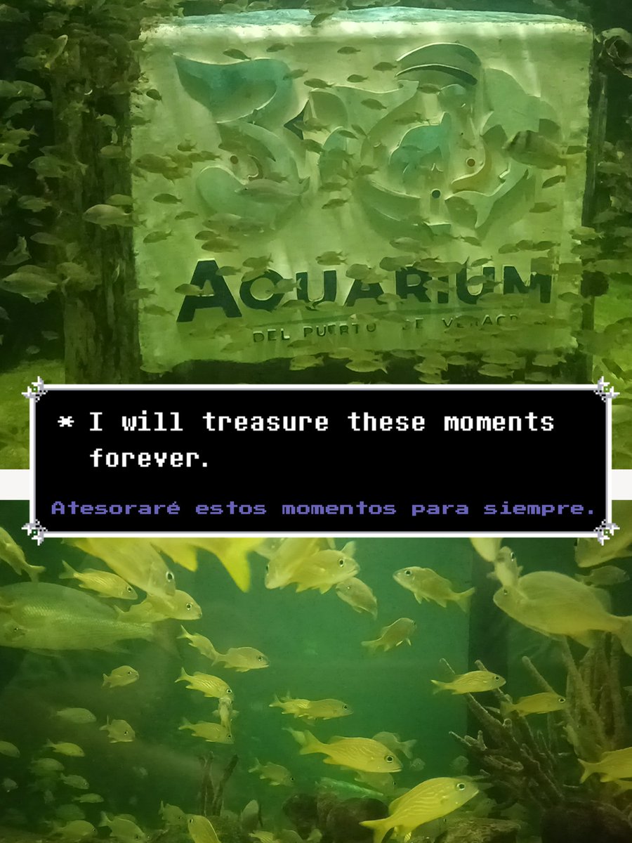 pulga_animada 𝕝 COMISIONES ABIERTAS tweet media