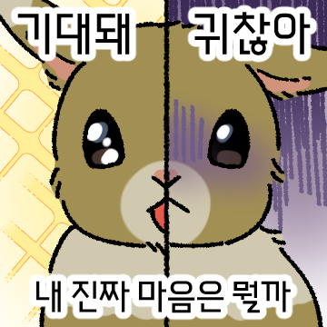 Honto_pic's tweet photo. 집이 가장 좋아 집에 붙어있는 집토끼의 생활🐰 https://t.co/F1ypc1iIW3