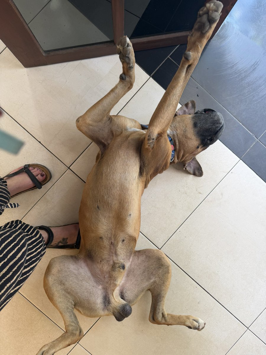 According2Taz tweet media