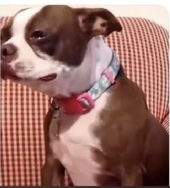 “Go back home and bring school fees balance”

Kids                                                                Parents