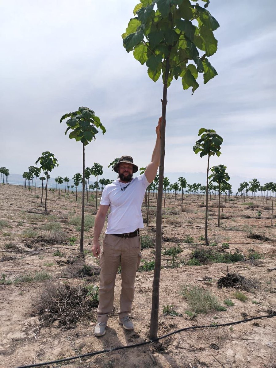 Web3Eco 🌳 tweet media