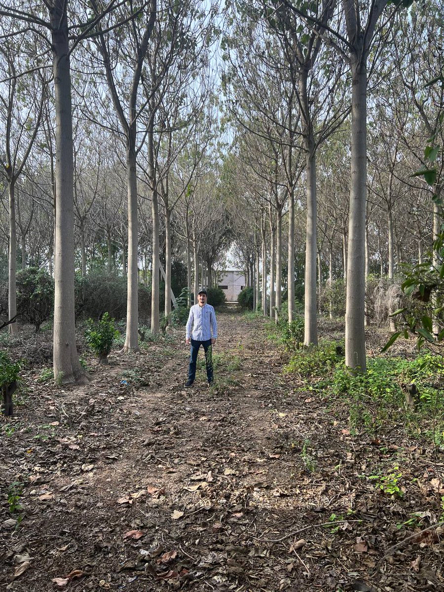 Web3Eco 🌳 tweet media