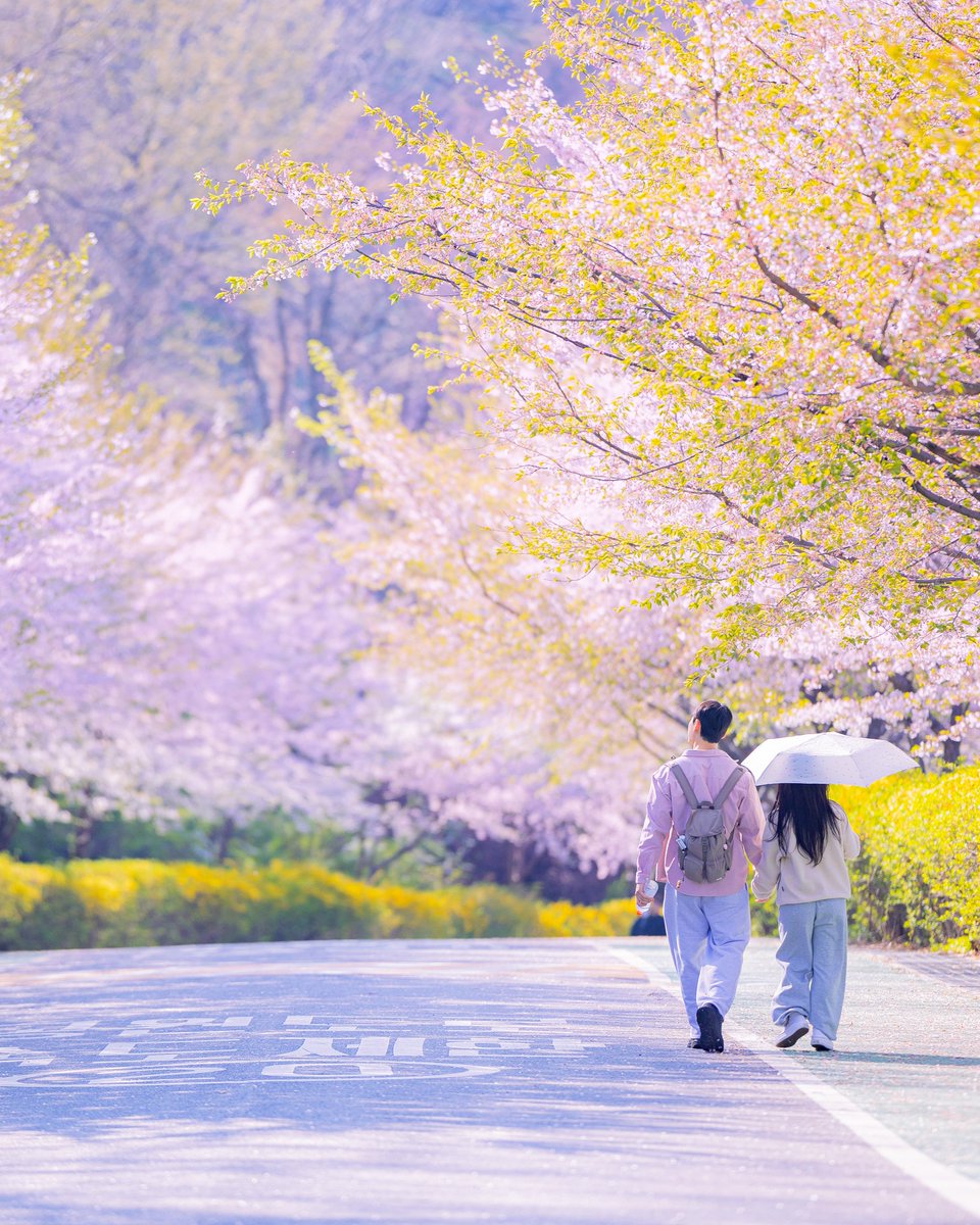 Visit Seoul tweet media