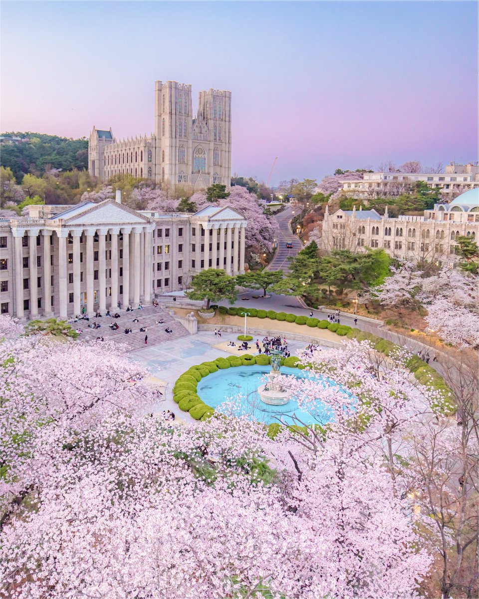 Visit Seoul tweet media