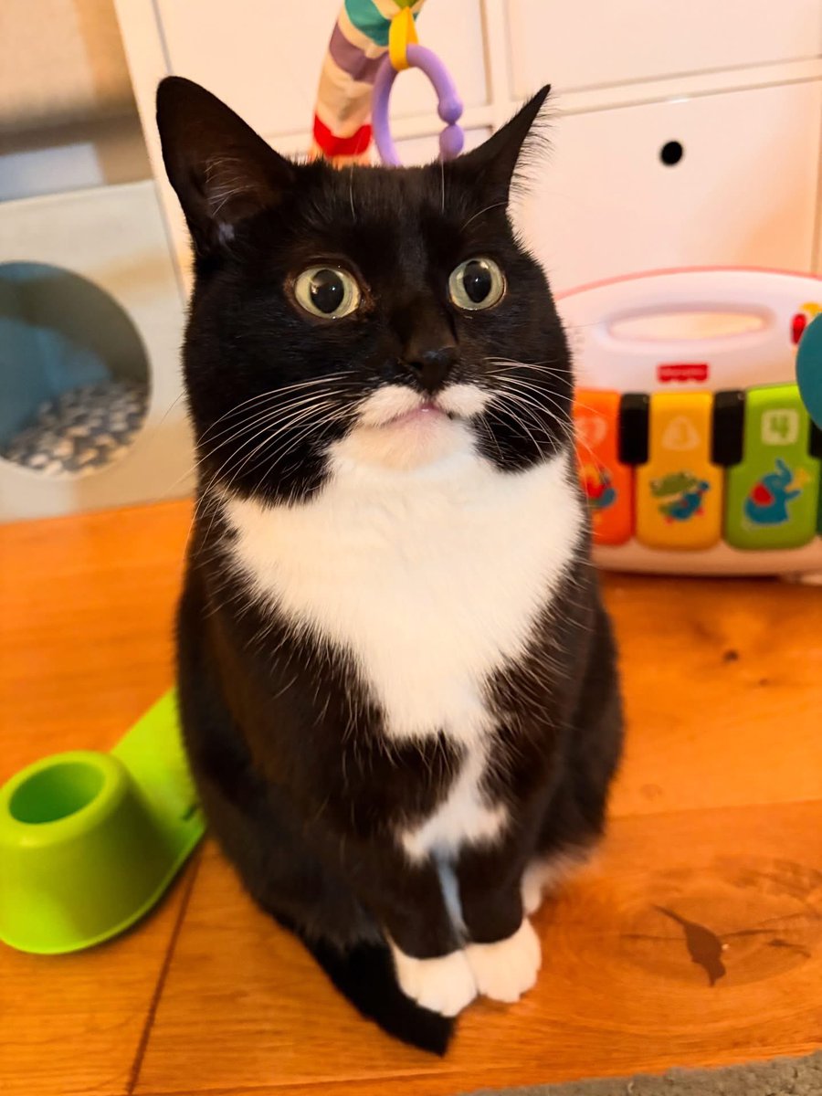 IBEX-CG 🔞(COMMS CLOSED) tweet media