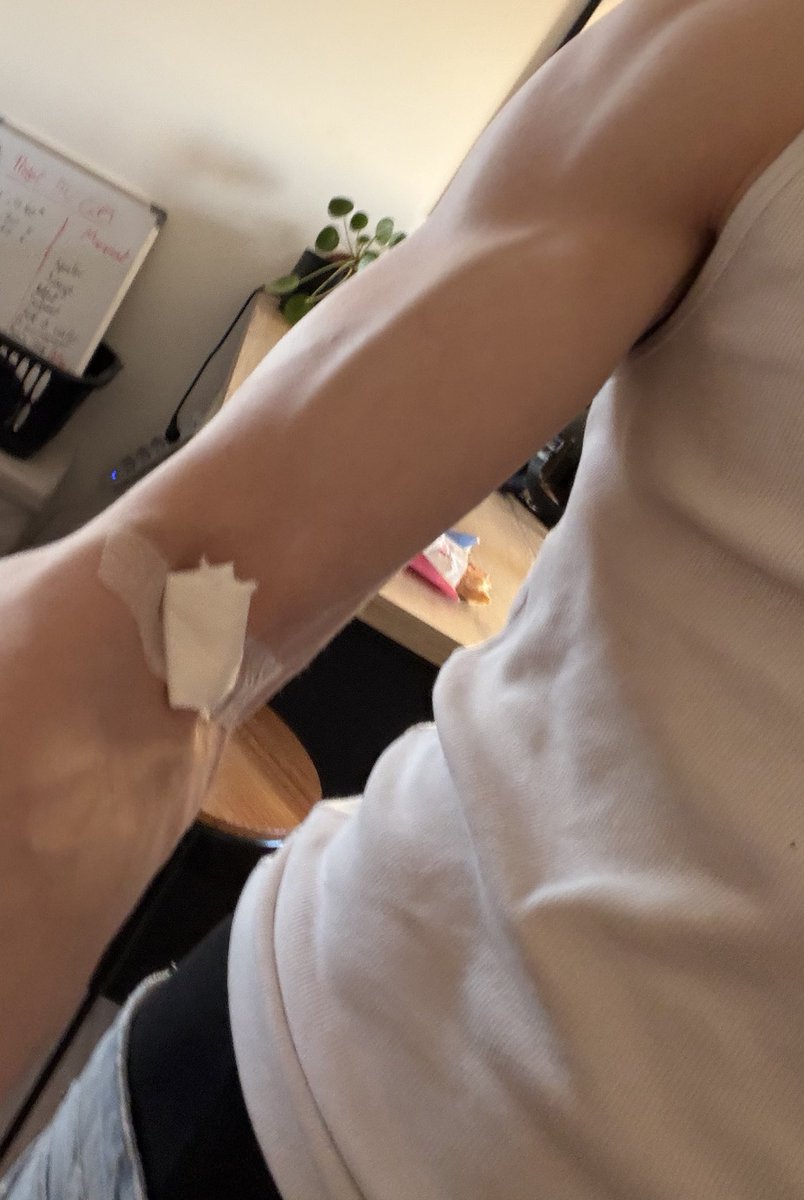 gabeshi 𒉭 tweet media