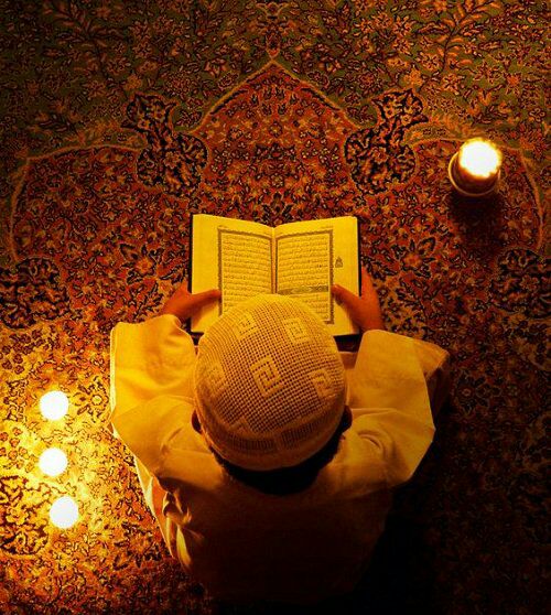 جنان tweet media