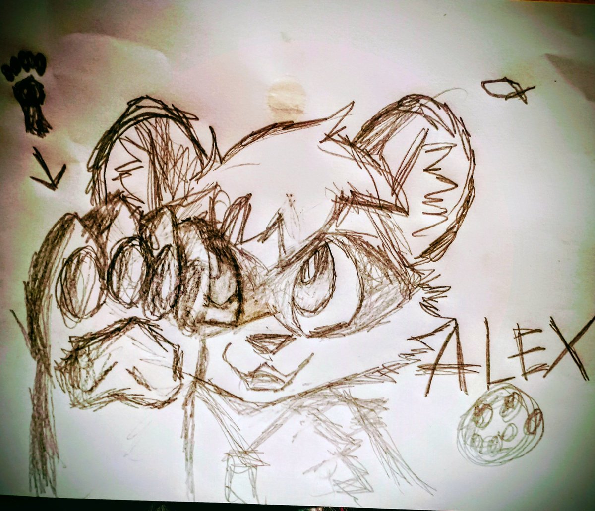 🐾🐱Dany Cat-Paw 🐱🐾🌷🌸🌺🌻🌼♥️ tweet media