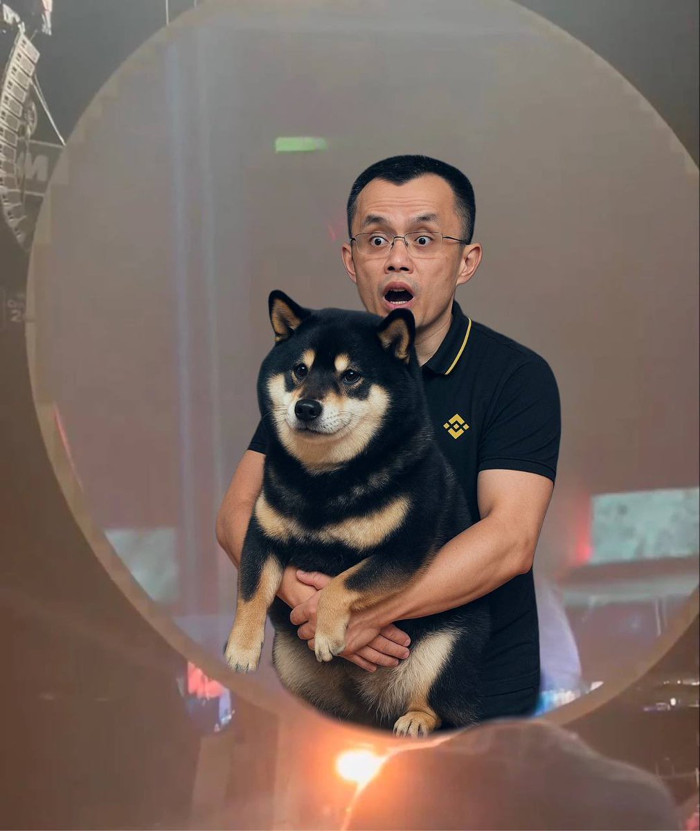 RobertBey tweet media