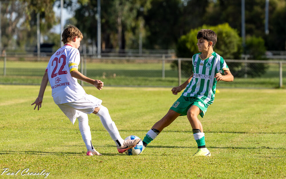 Green Gully SC tweet media