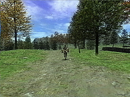 Nima Zeighami tweet media