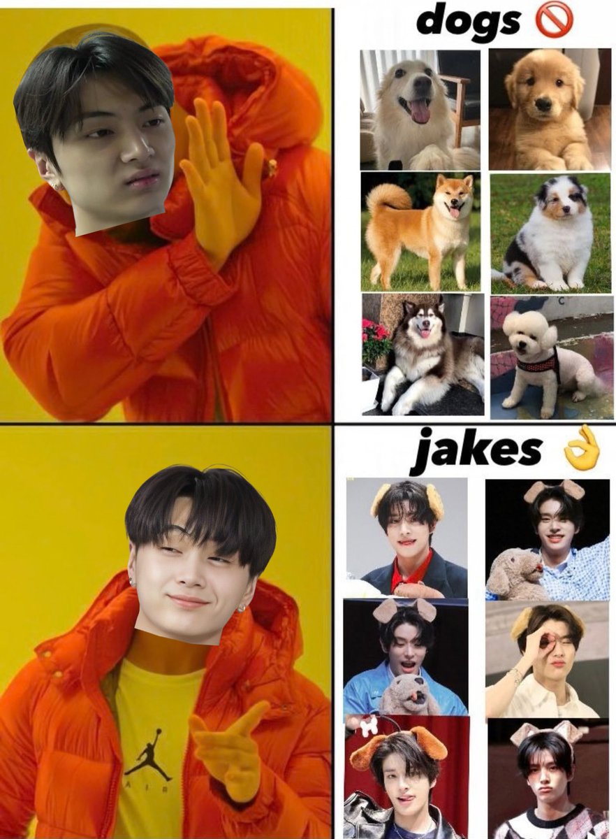 shnjayke's tweet photo. no one:
jay when he sees dogs: https://t.co/sboo7ydrID