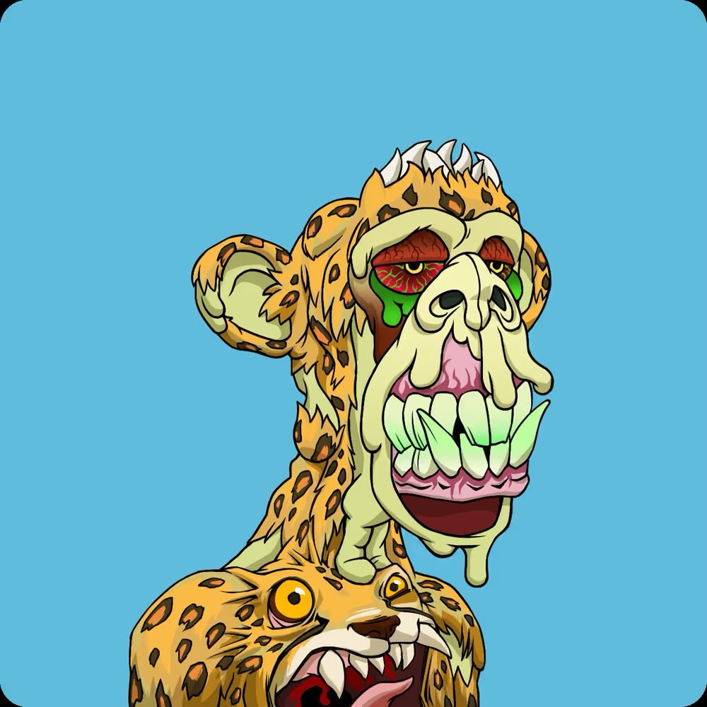 Rupp 🐶 tweet media