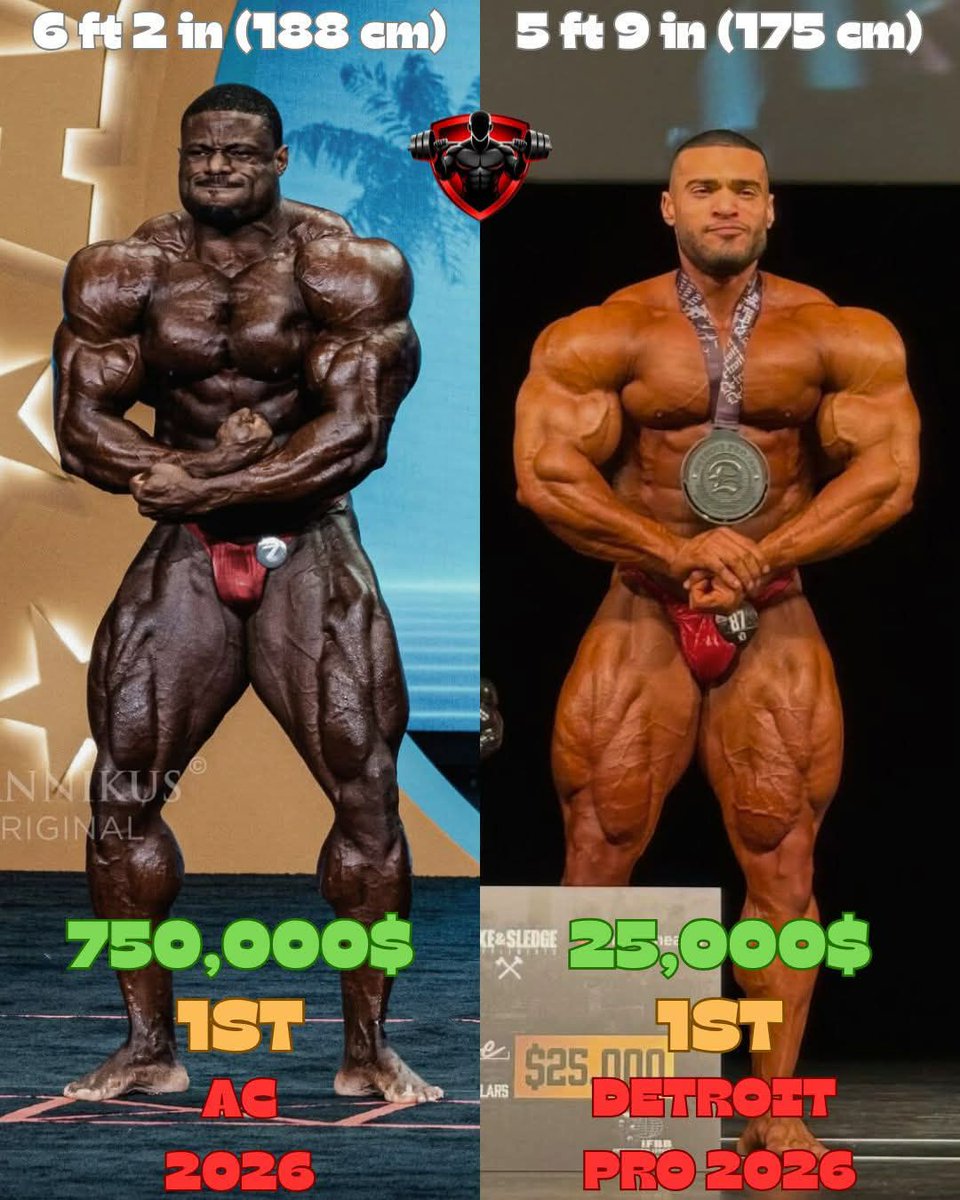 Muscles Anarchy tweet media