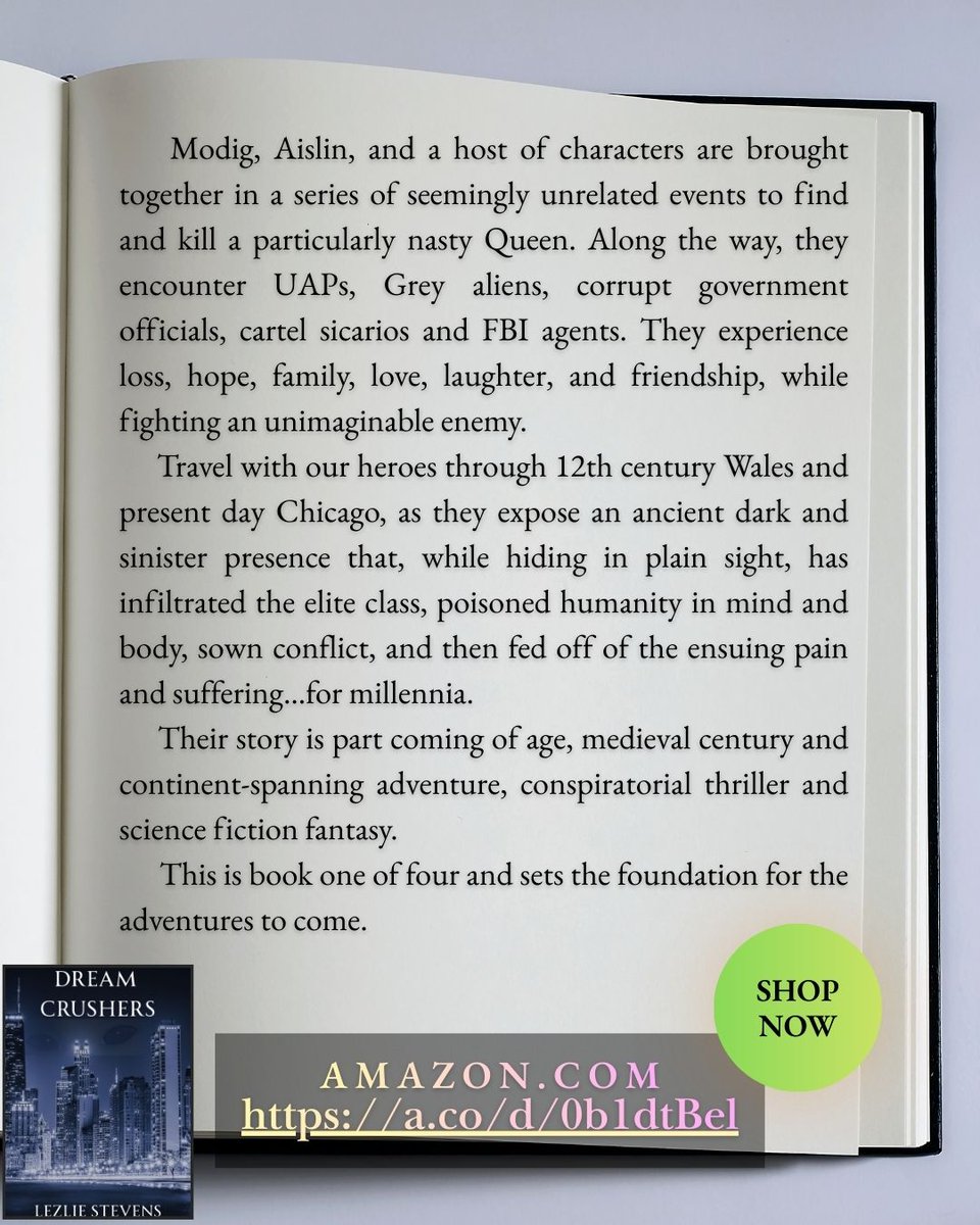 Lezlie Stevens (@lezlieauthor) on Twitter photo 