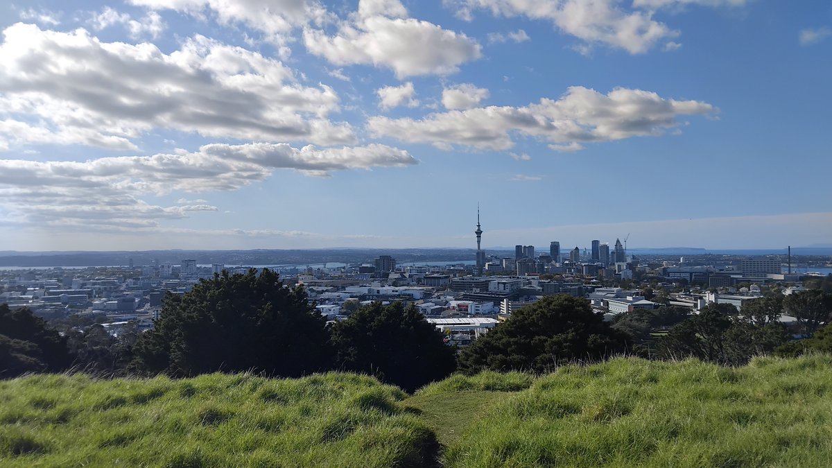 Connor Sharp tweet media