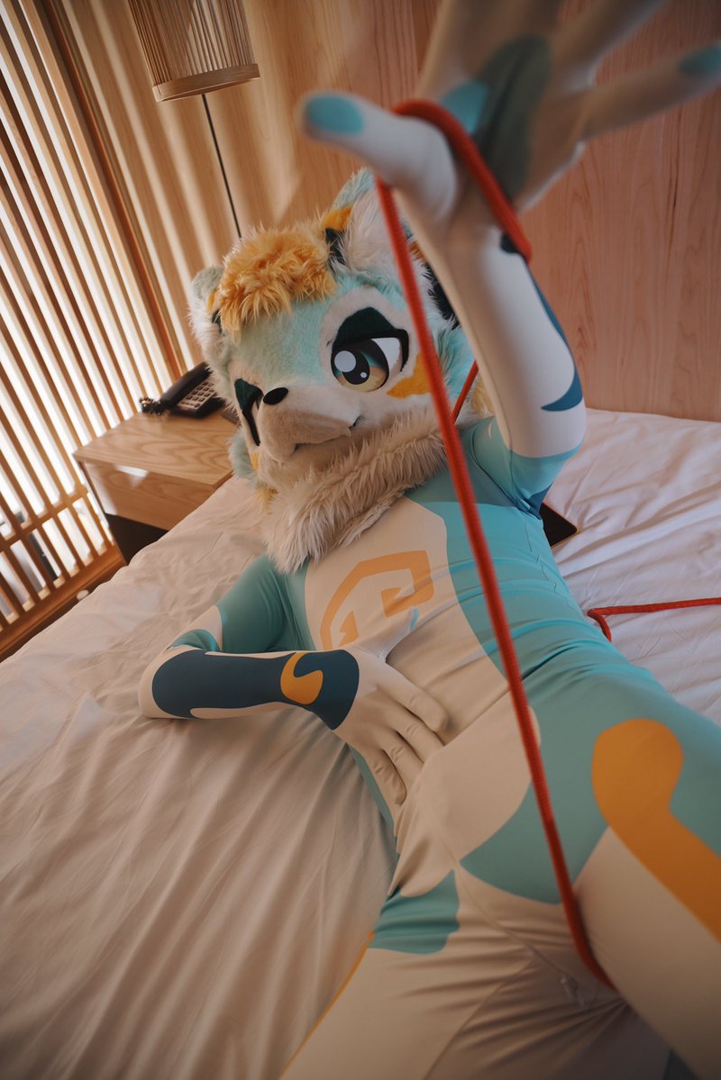 吞天二号机 tweet media