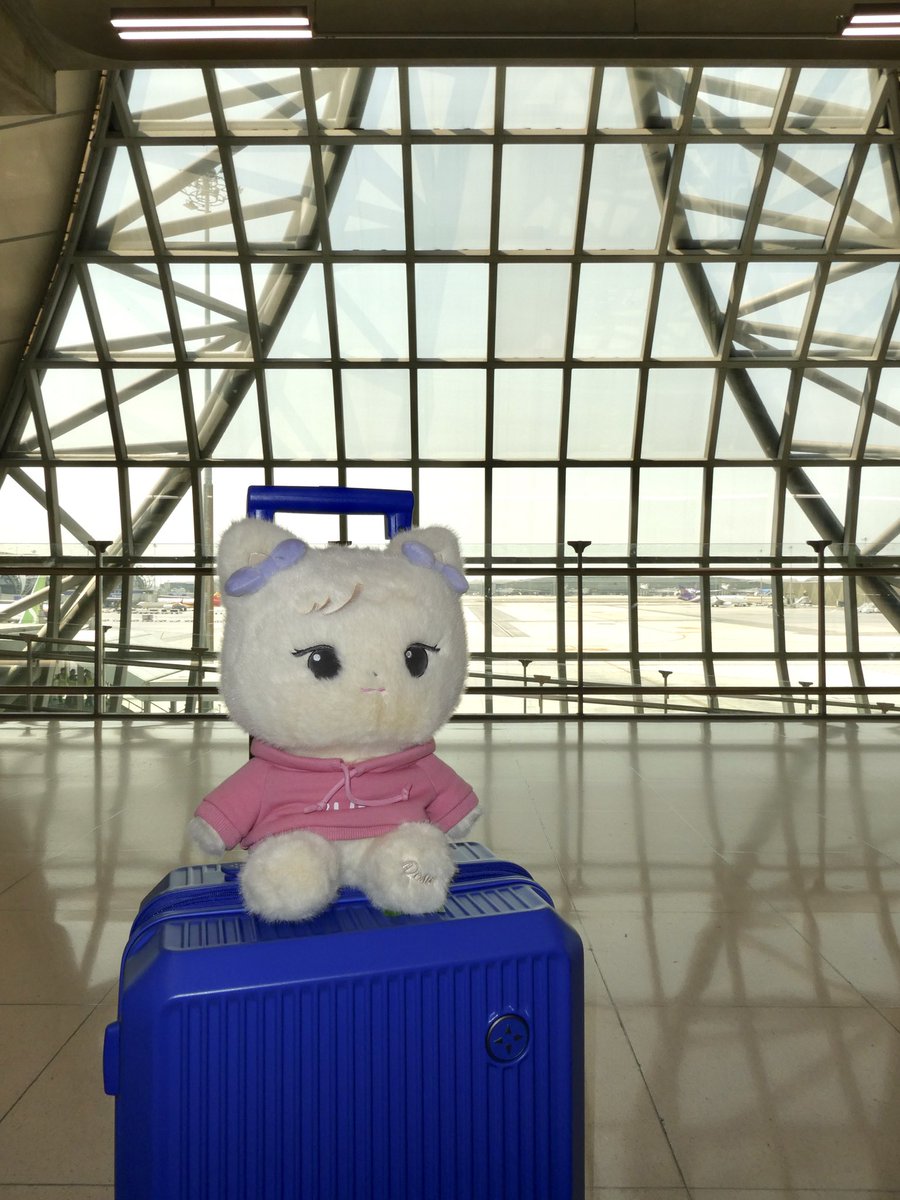 mimi 🦭 tweet media