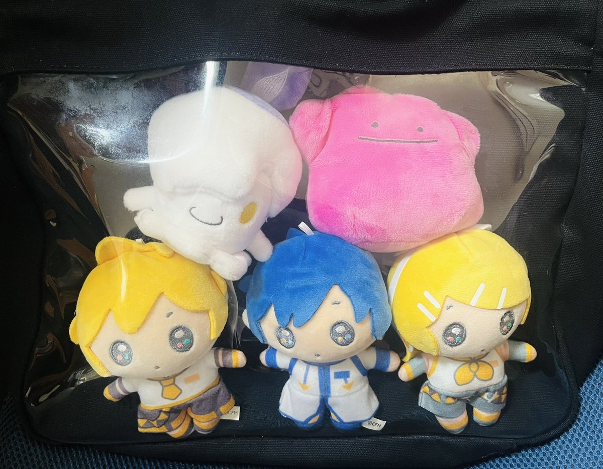 こんなに連れってっていいかな…！？