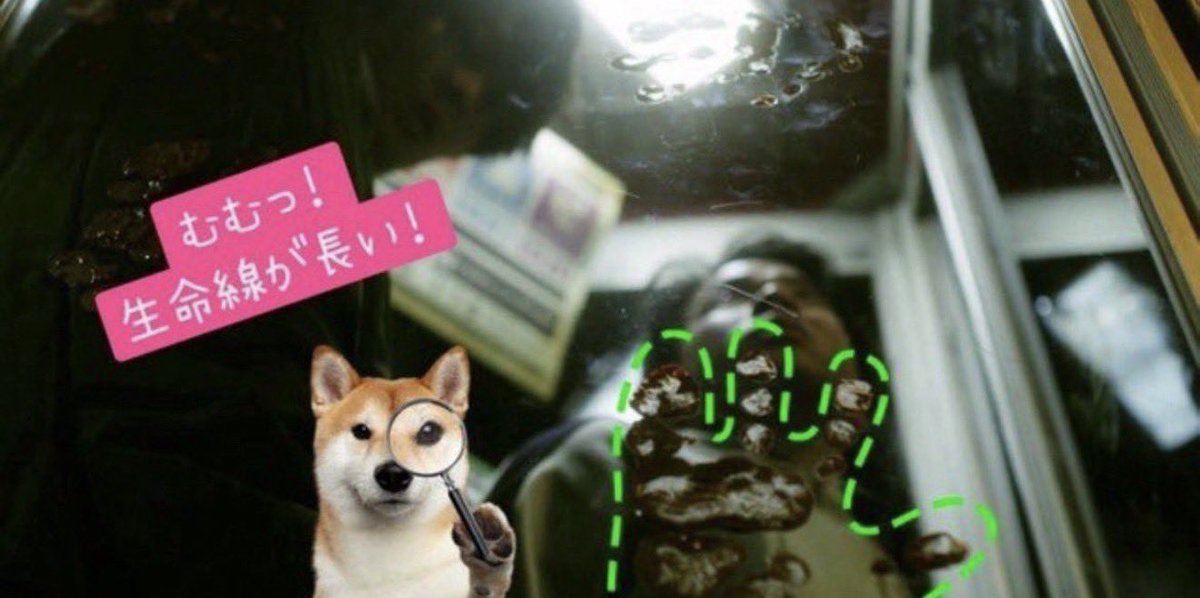 話題の面白ツイ図鑑 tweet media